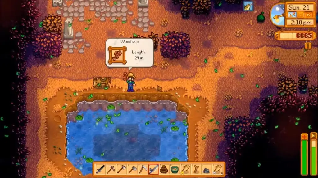 woodskip fish stardew valley2