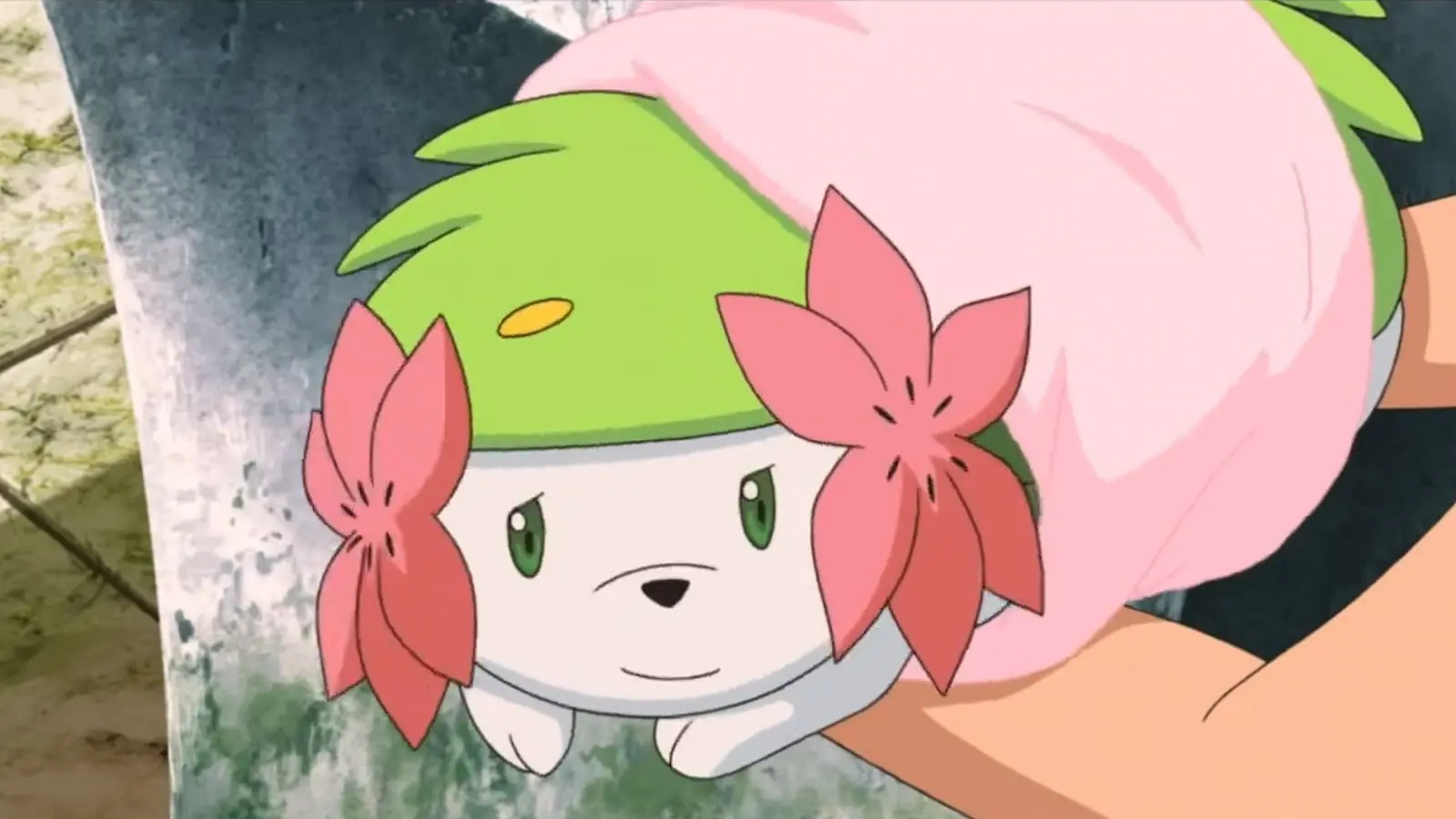 Shaymin in the Pokemom animated movies