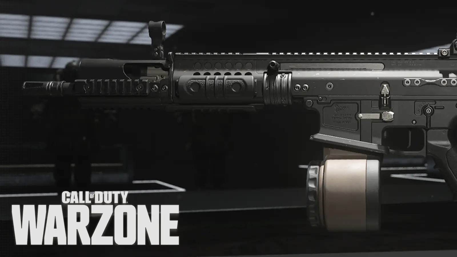 TAQ Eradicator LMG with Warzone logo.