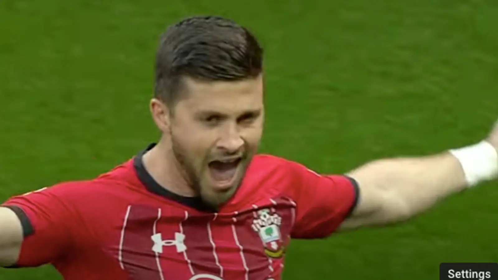 Shane Long celebrates for Southampton.