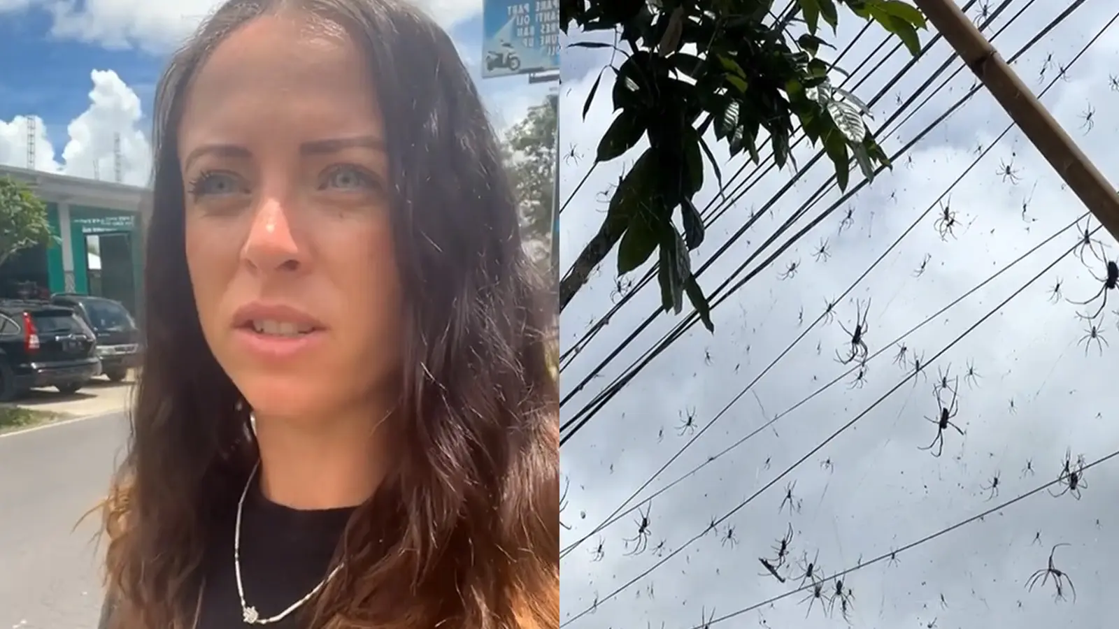 tiktok woman showing spider invasion