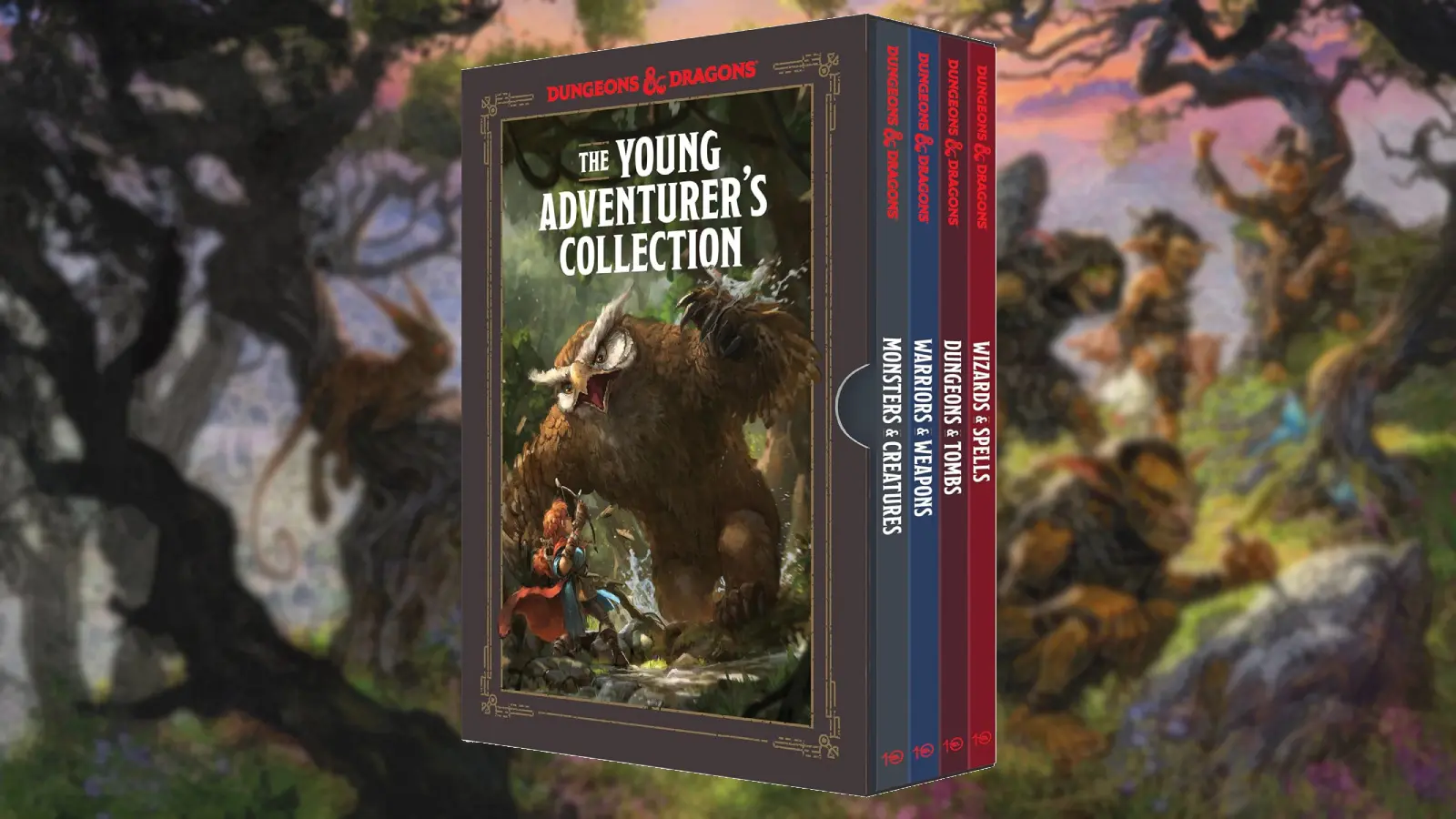 D&D Young Adventurer's box set