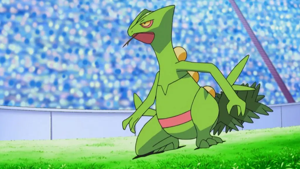 pokemon anime sceptile