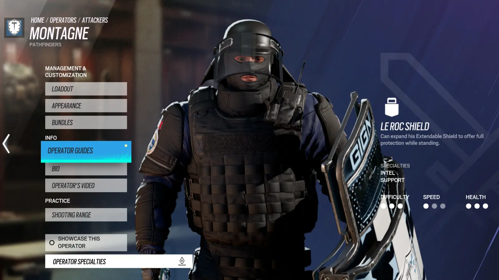 Montagne in R6