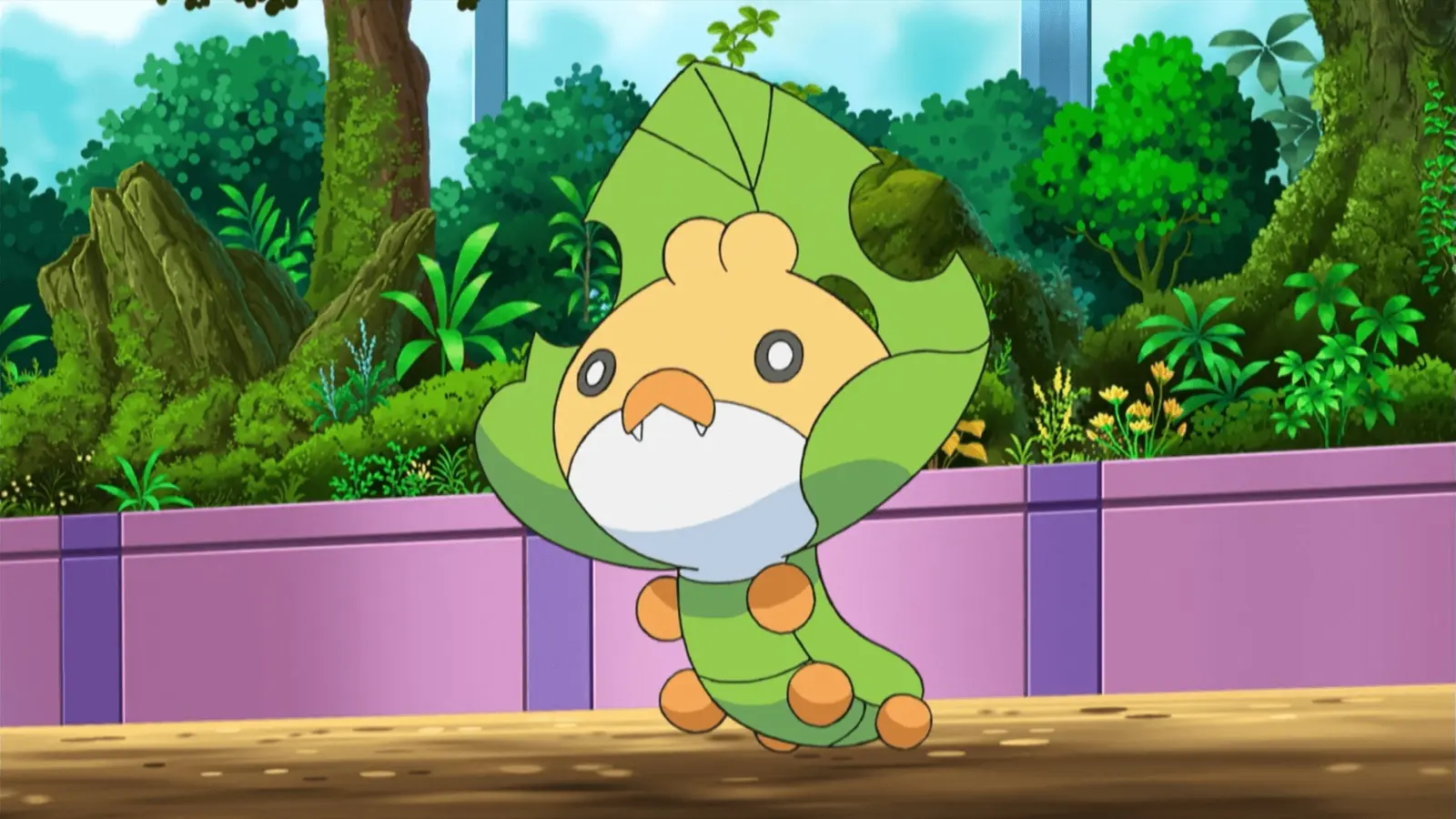 Ash's Sewaddle in the Pokemon anime