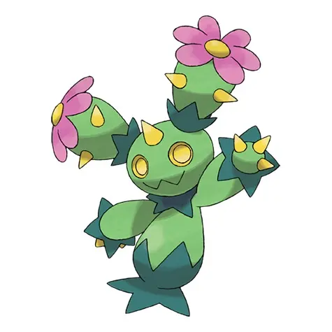 Maractus