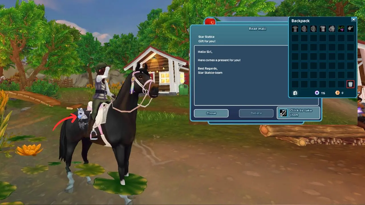 Pets and cosmetics from Star Stable codes