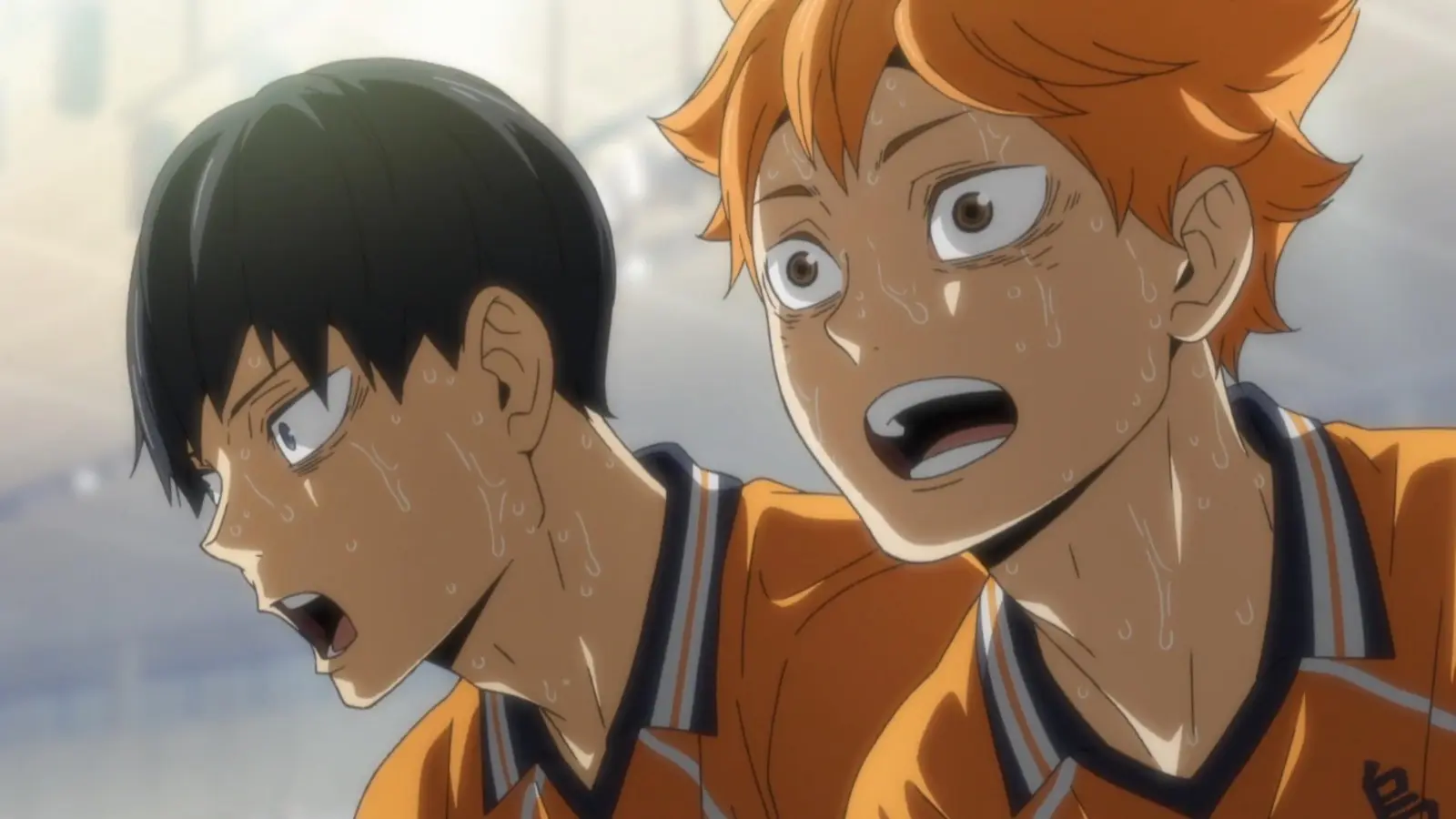 Tobio Kageyama and Shoyo Hinata