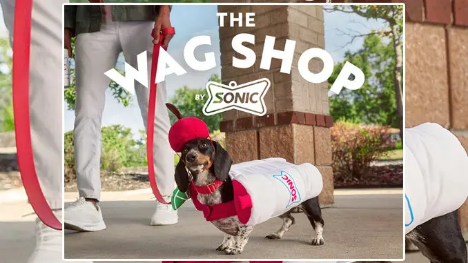 Sonic dogs dressed up