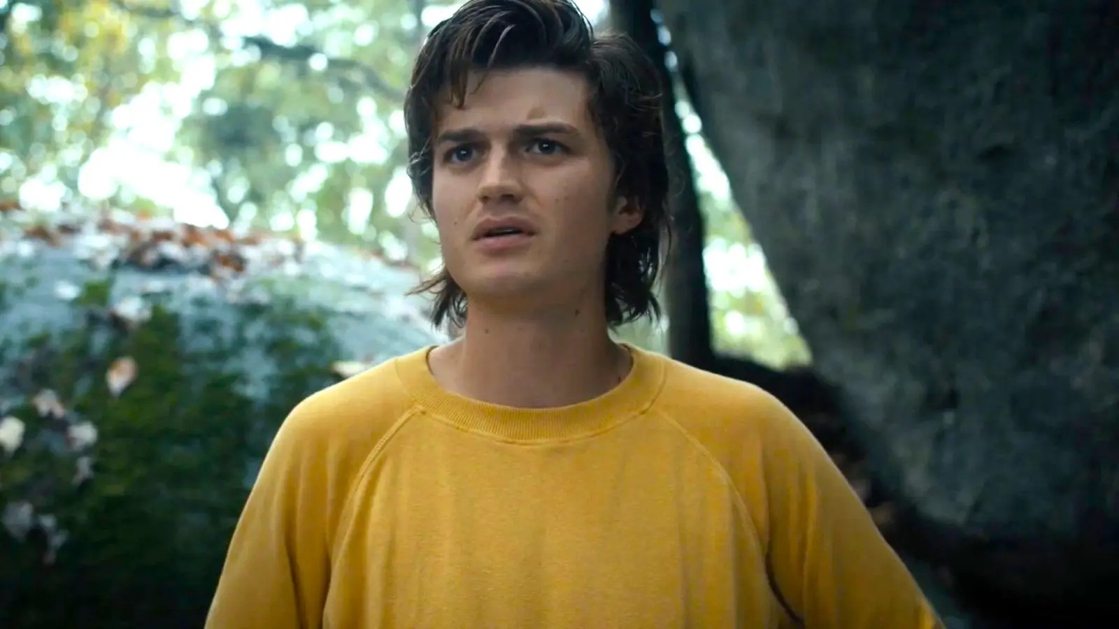 Joe Keery as Steve on Stranger Things