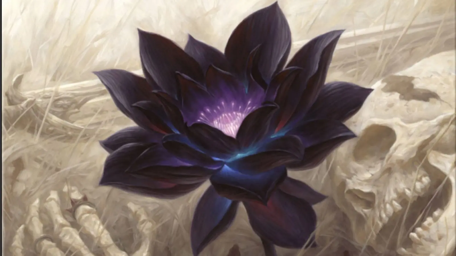 MTG Black Lotus header