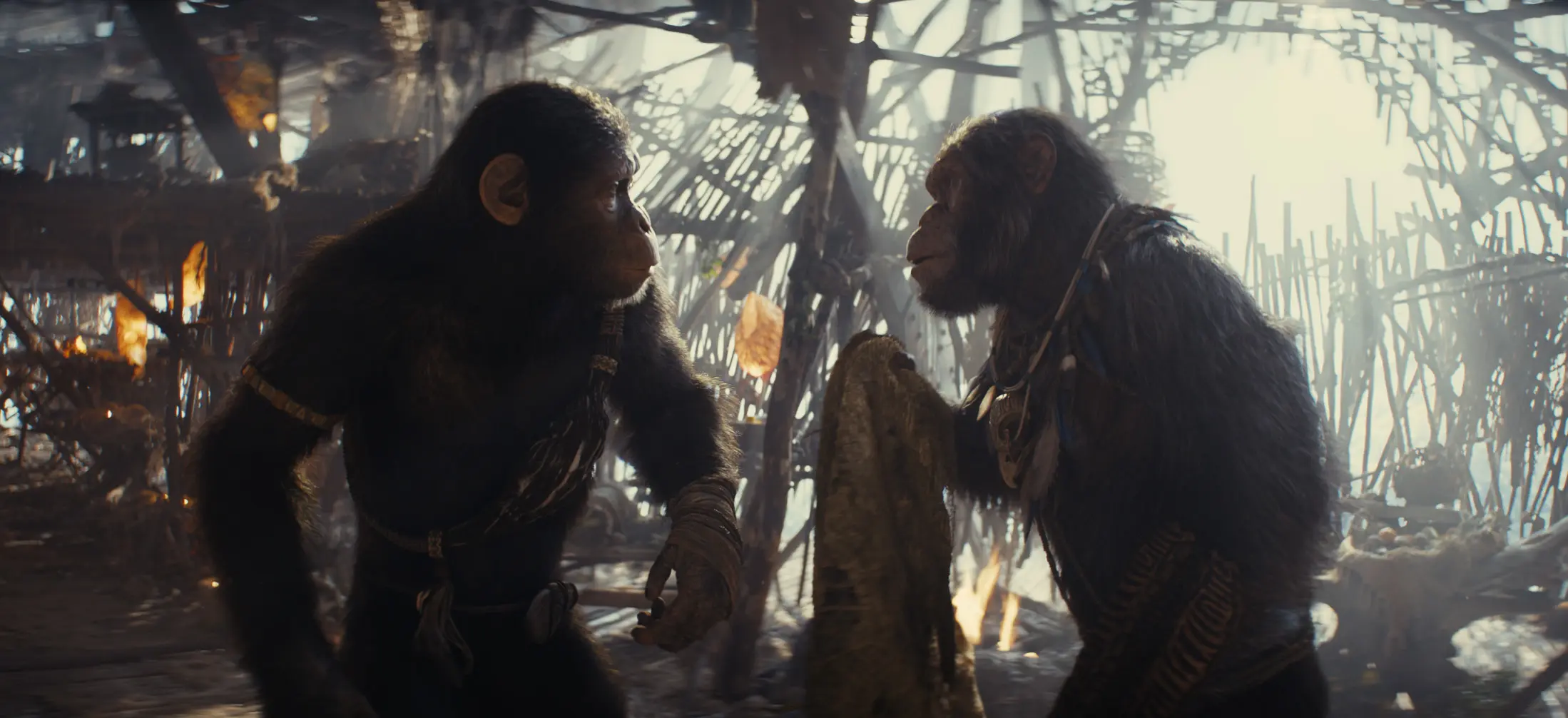 Noa in Kingdom of the Planet of the Apes.