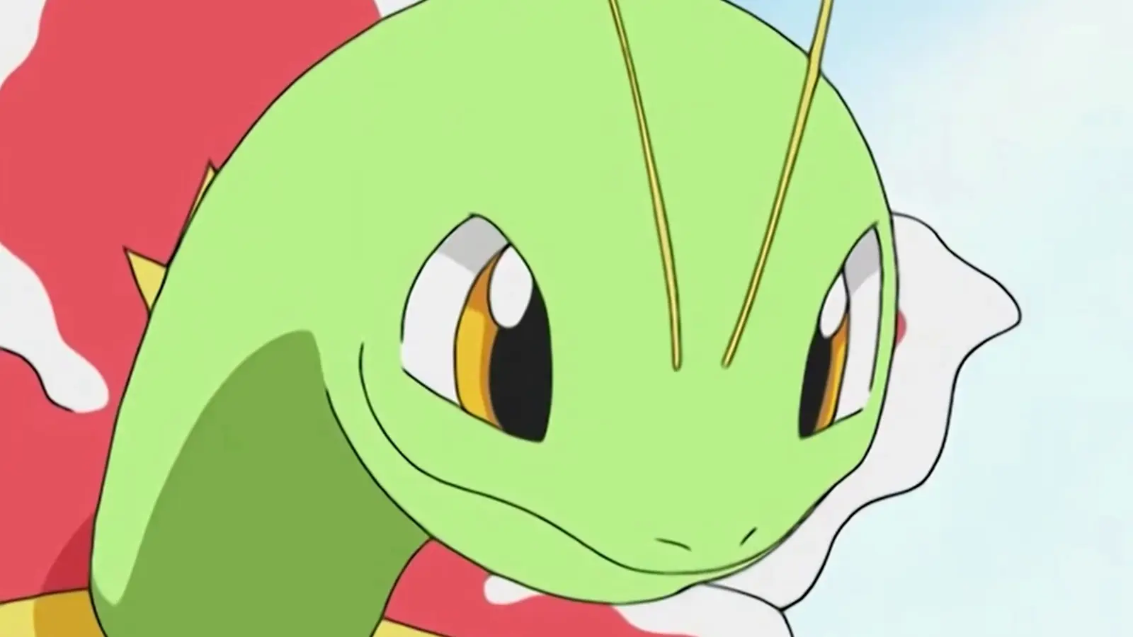 Meganium in Pokemon anime.