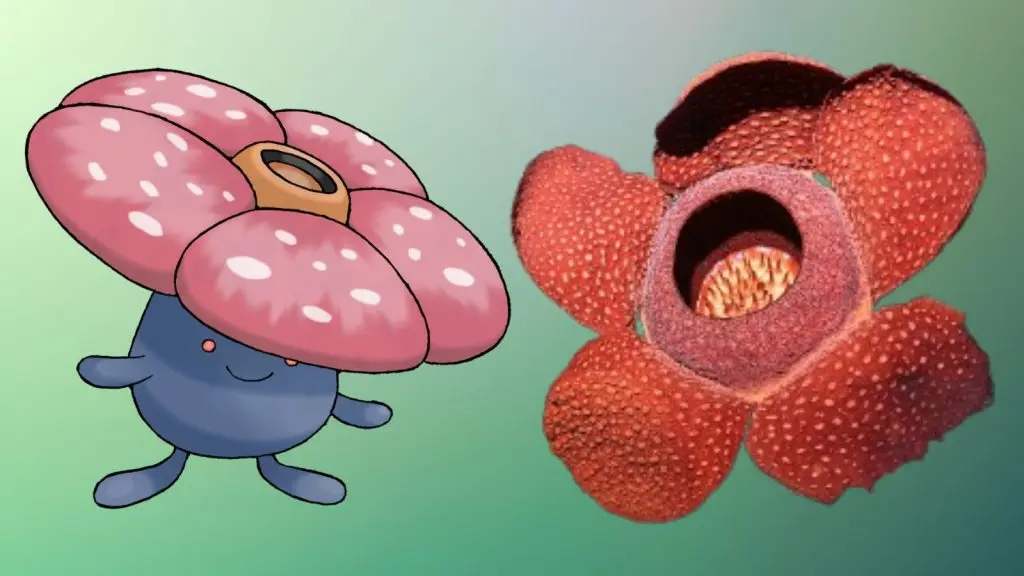 pokemon vileplume rafflesia