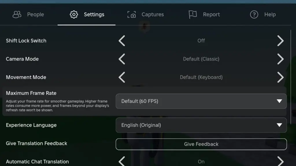 FPS Setting in Roblox