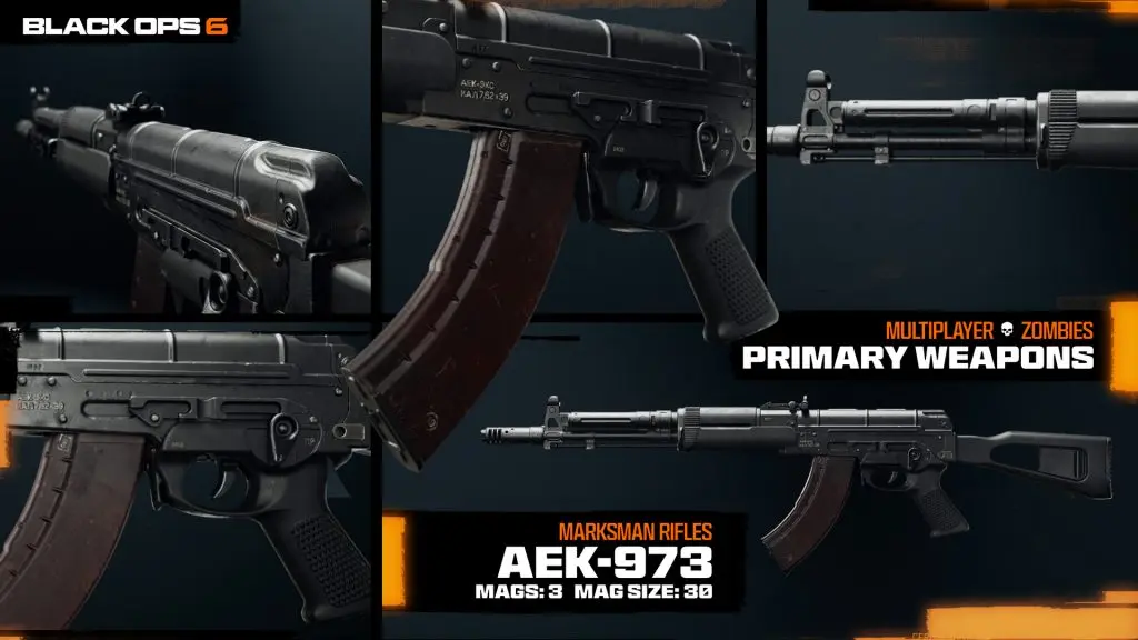 AEK-973 in Call of Duty Black Ops 6