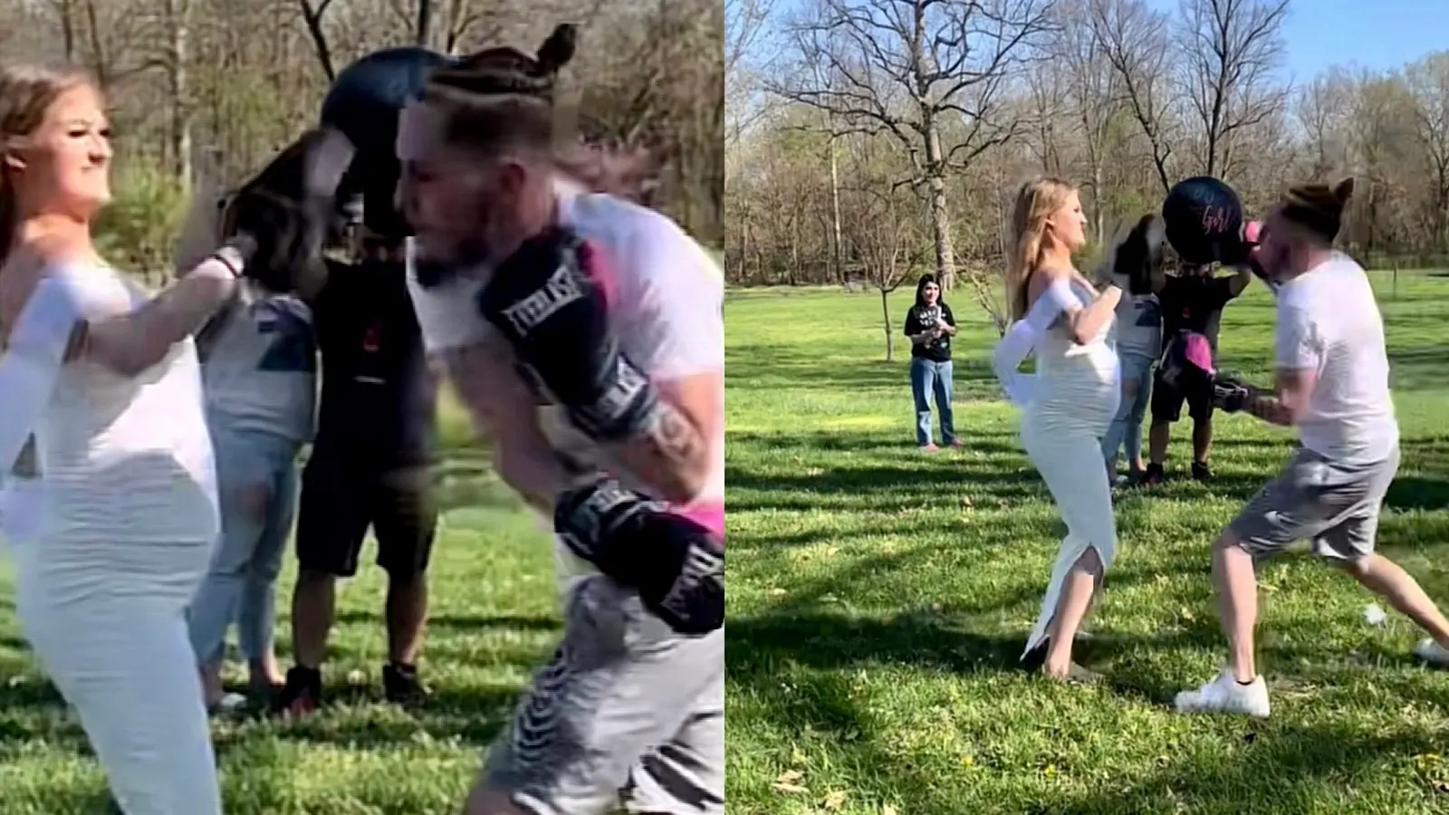 boxing gender reveal