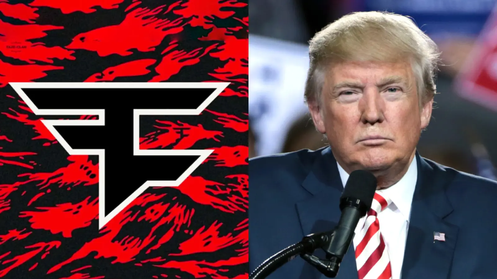 FaZe Clan Donald Trump