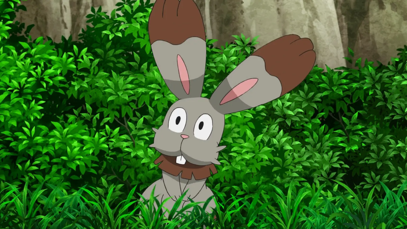 Bunnelby in Pokemon anime.