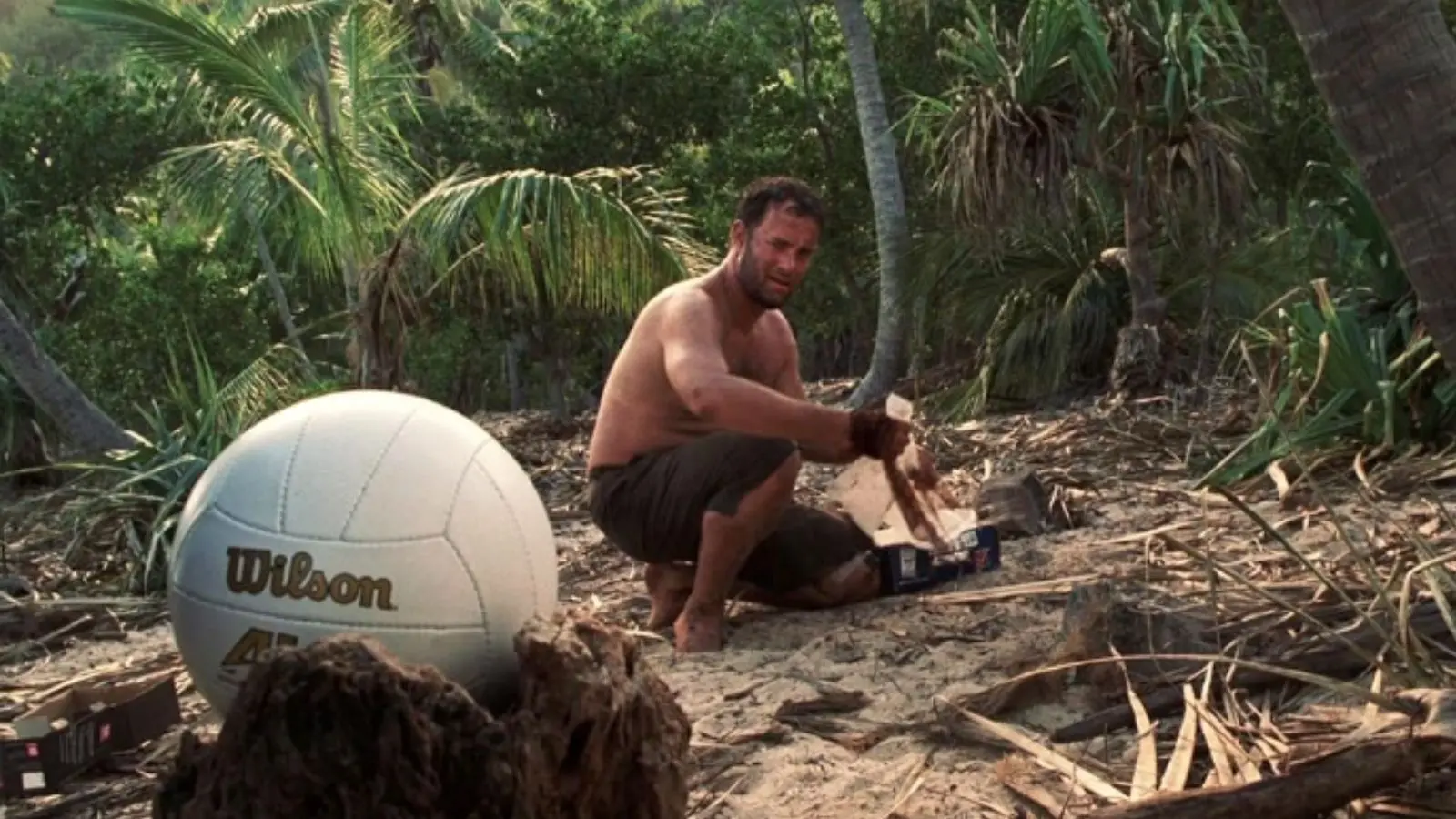 Tom Hanks in Cast Away.