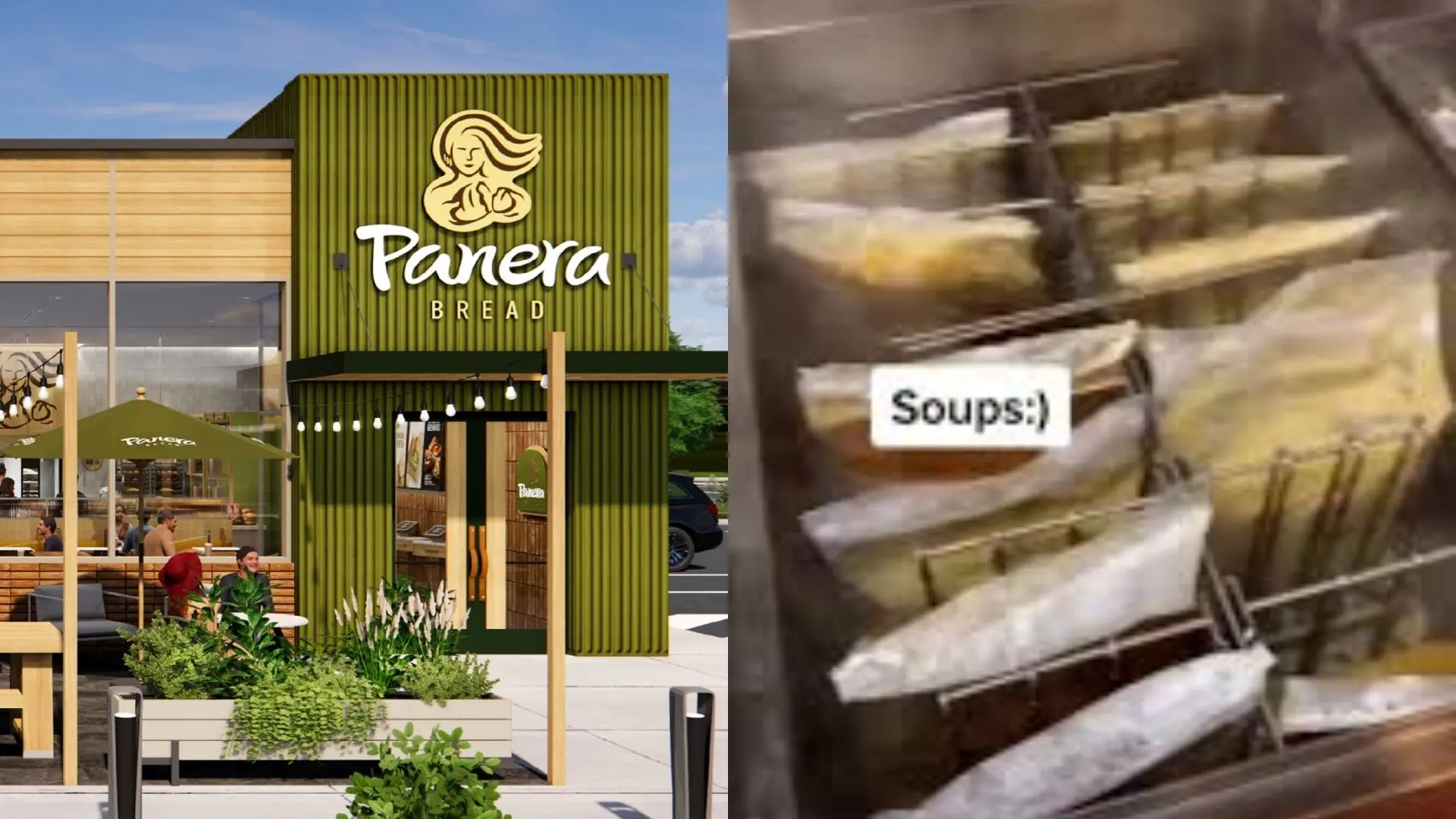 panera bread