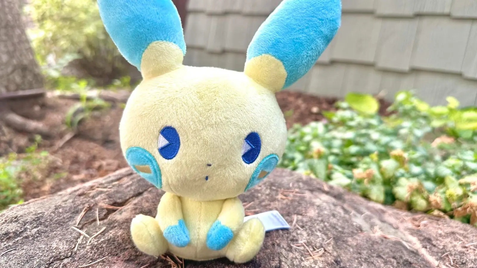 Pokemon Soda Pop Plush review