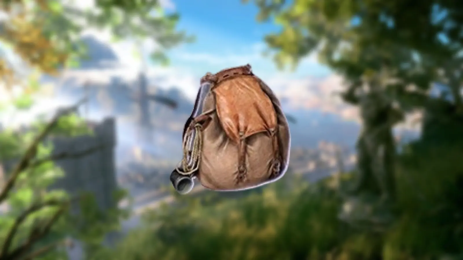 A screenshot featuring a backpack in Baldur's Gate 3.