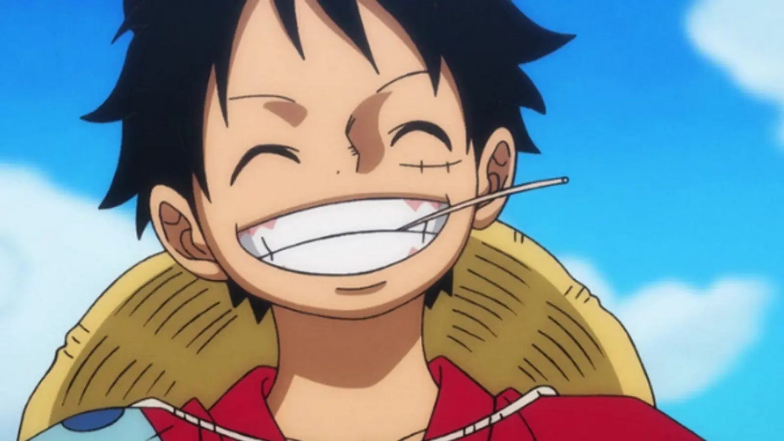 Luffy in One Piece