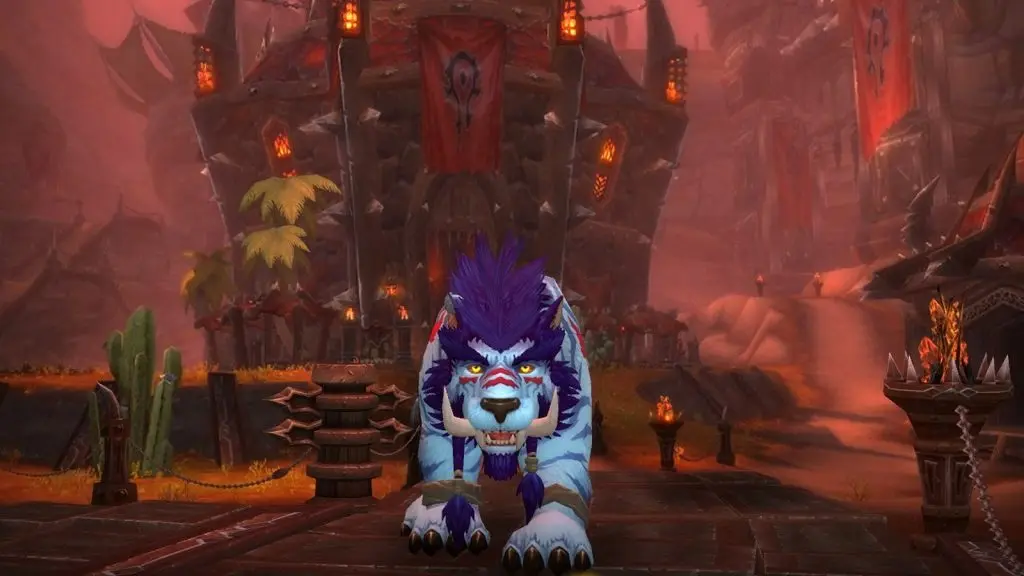 A Feral Druid in WoW: The War Within