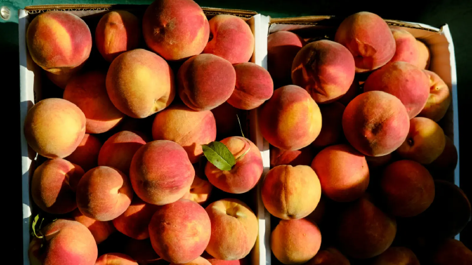 peaches in a basker