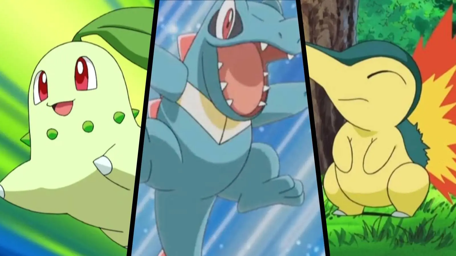 The three starter Pokemon from Pokemon Gold and SIlver are shown