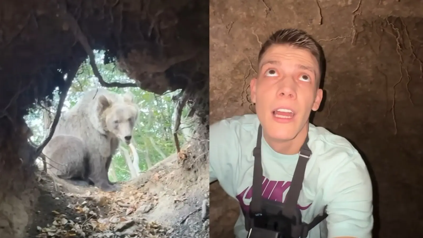 youtuber sits with bear inside ave