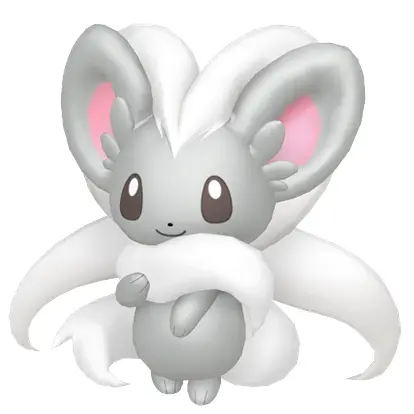 Cinccino