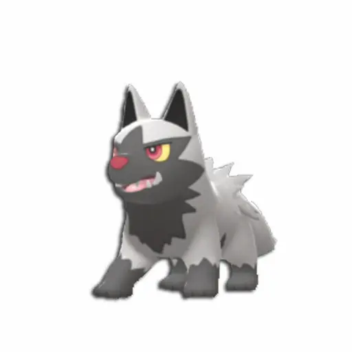 Poochyena Pokemon BDSP 3d model