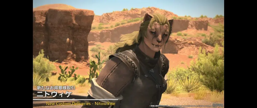 FFXIV Nitowikwe Custom Deliveries