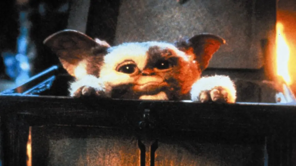 Gizmo in Gremlins