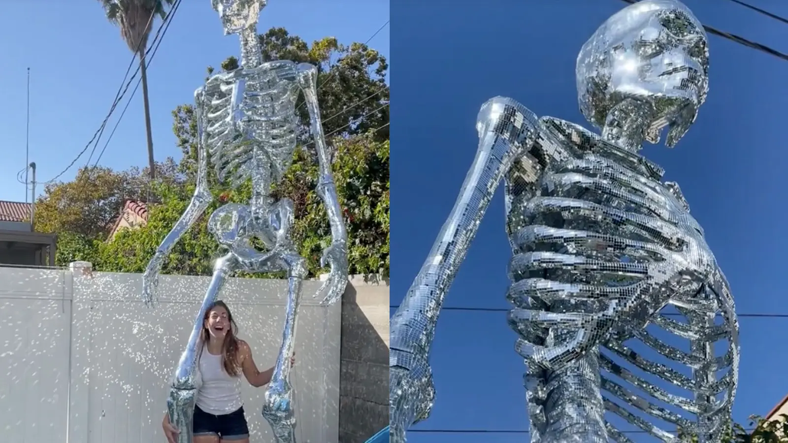 Ali Spagnola skeleton