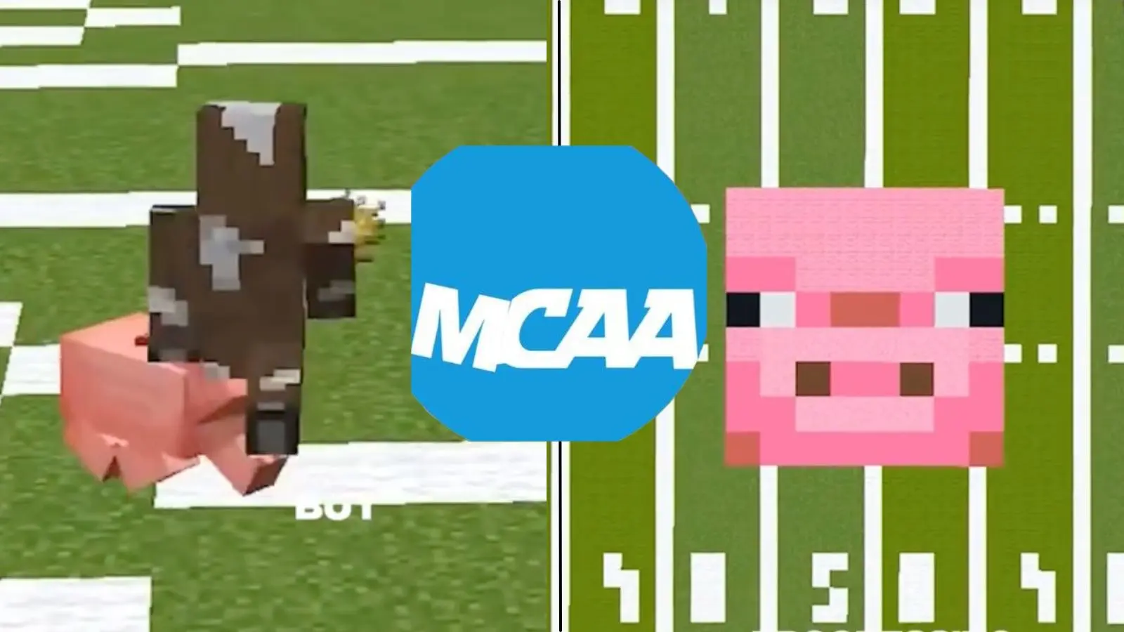 Cow and Pig characters from Minecraft in MCAA game