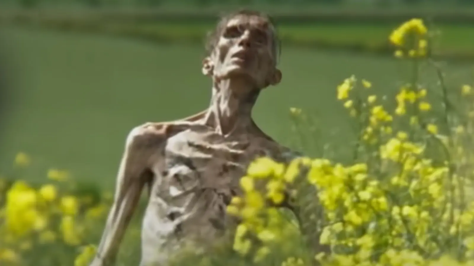 An emaciated figure in 28 Years Later.