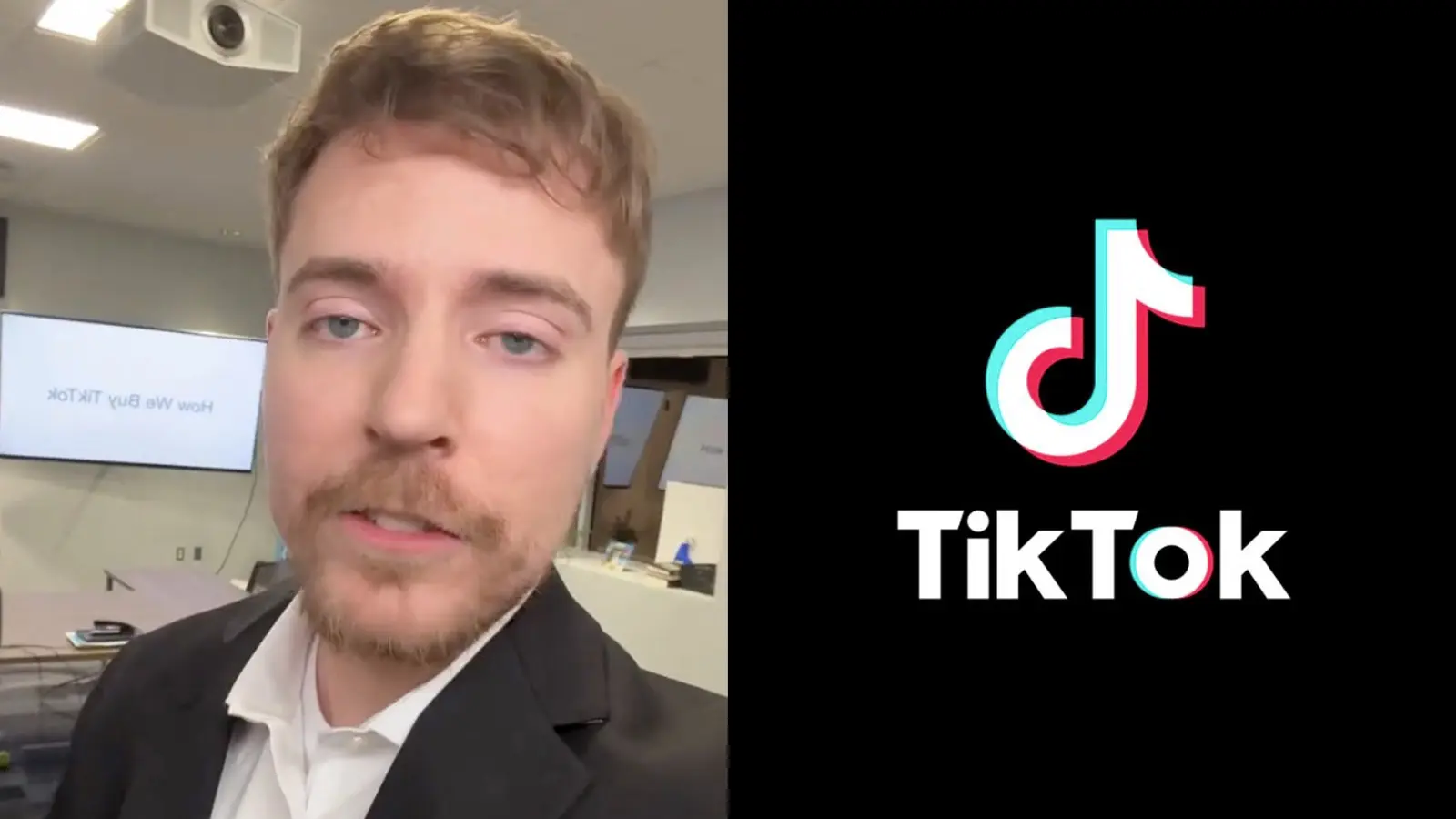 MrBeast TikTok