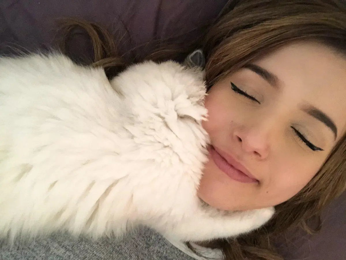 Pokimane, Twitter