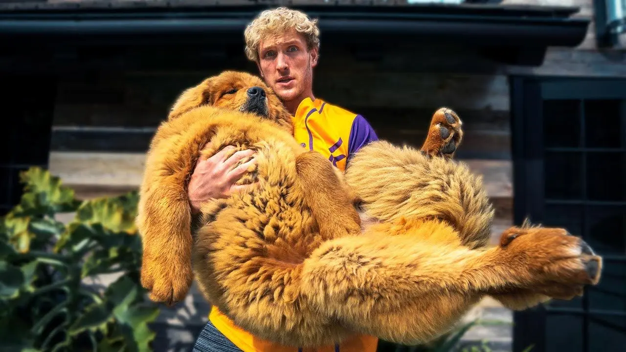 YouTube / Logan Paul