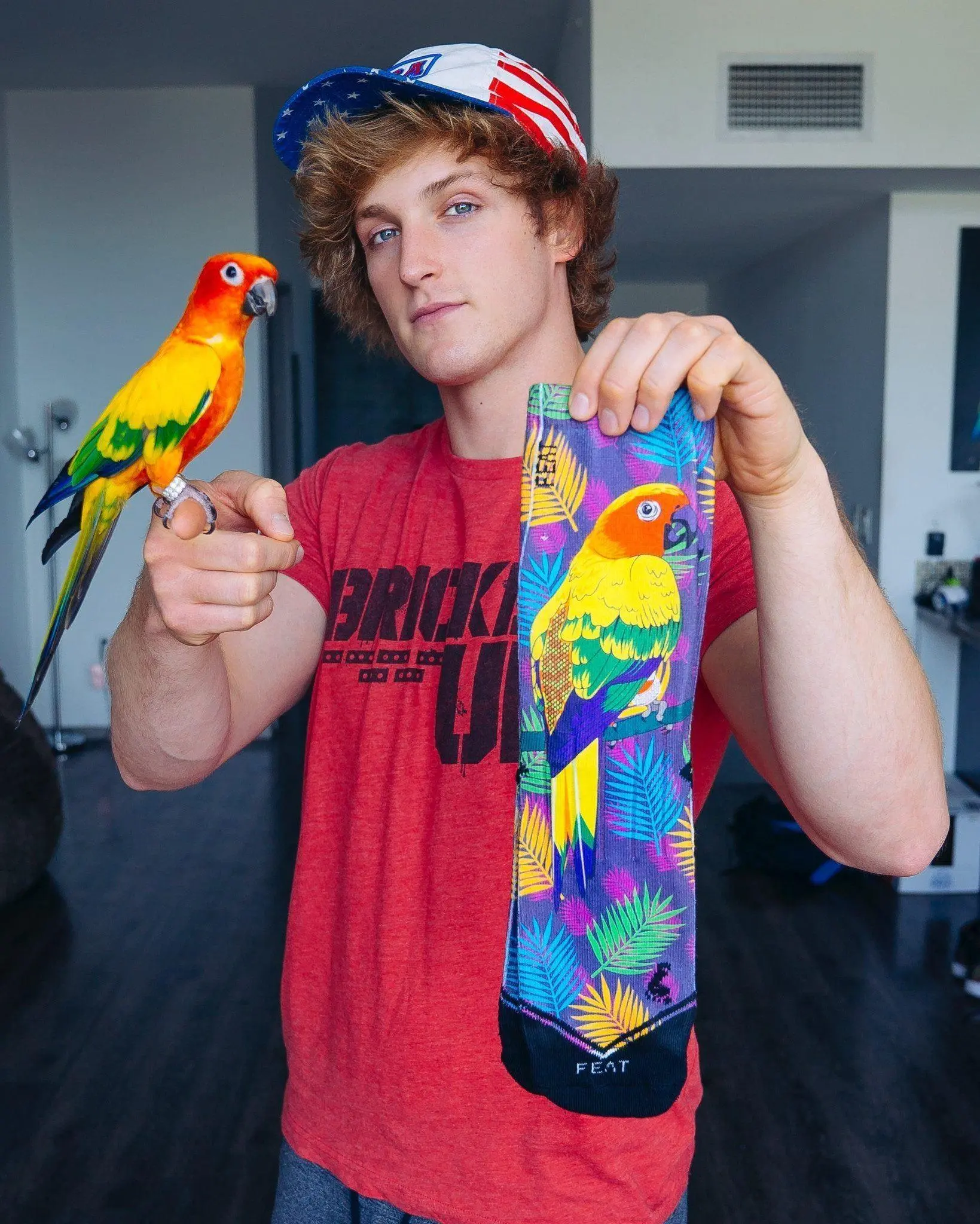 Facebook: Logan Paul