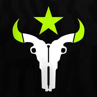 Houston Outlaws